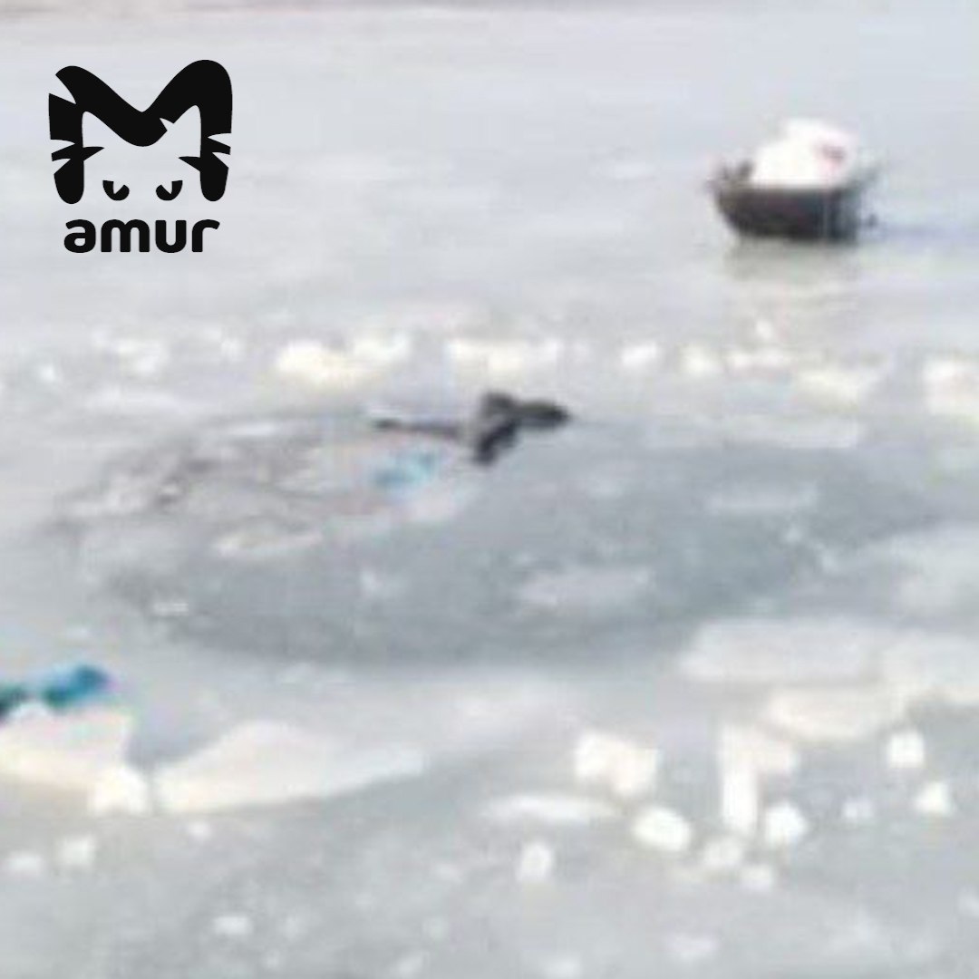 Ребёнок и взрослый утонули в Хабаровском крае