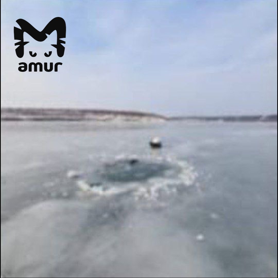 Ребёнок и взрослый утонули в Хабаровском крае Ребёнок и взрослый утонули в Хабаровском крае