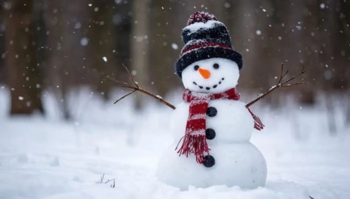 Конкурс снежных скульптур проведут в посёлке Хор