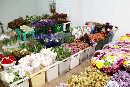 Мать отсудила у сына права на товарный знак «ХабЦветТорг»