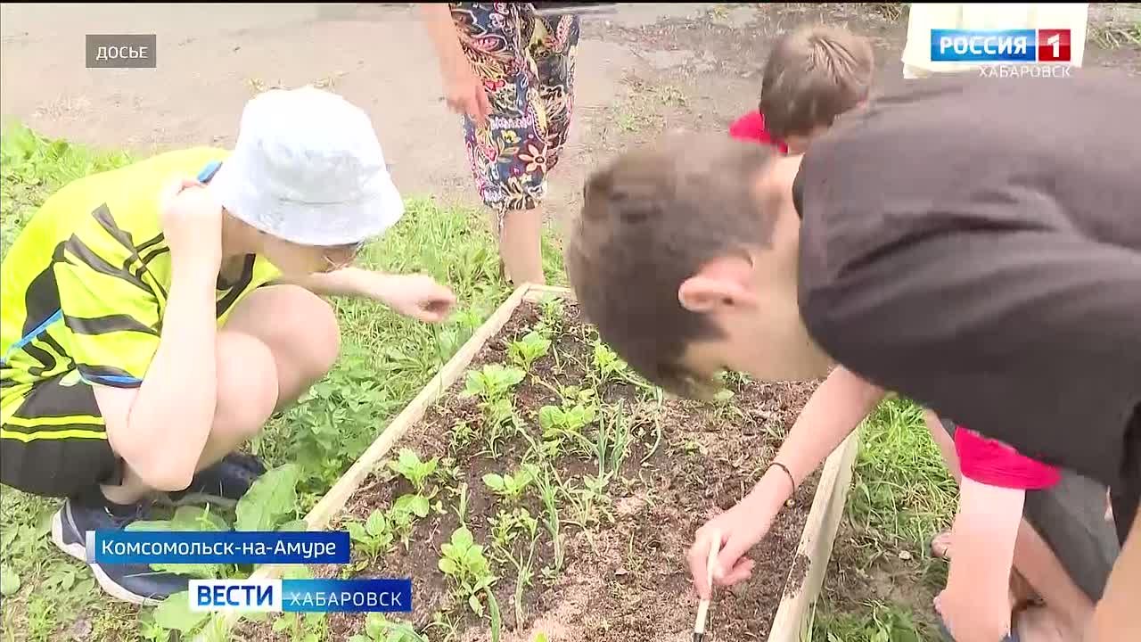 Выращивая растения, вырастить любителя природы: традиции юннатов возрождают в Комсомольске