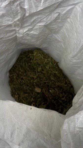 В городе Юности вынесен приговор женщине, у которой полицейские изъяли 13 мешков марихуаны общим весом более 25 килограммов В городе Юности вынесен приговор женщине, у которой полицейские изъяли 13 мешков марихуаны общим весом более 25 килограммов