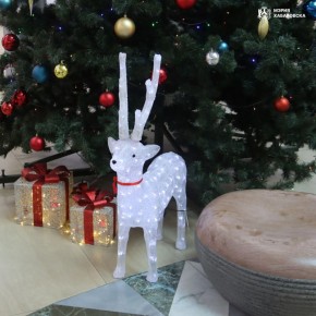 По поручению мэра Хабаровска Сергея Кравчука ведётся мониторинг праздничного оформления объектов торговли