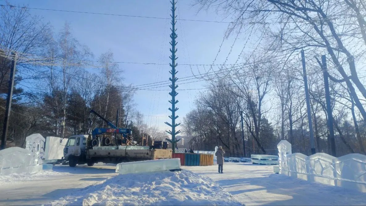 Новогоднюю ель в хабаровском парке «Динамо» создадут из 200 елок