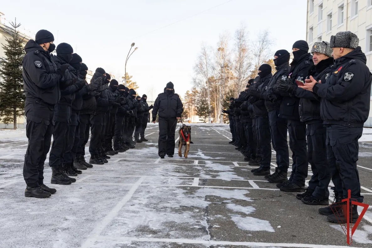 Хабаровские росгвардейцы с почестями проводили на пенсию служебного пса Жека Хабаровские росгвардейцы с почестями проводили на пенсию служебного пса Жека