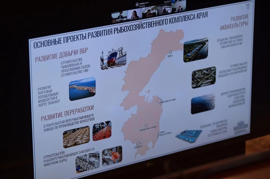 Формирование благоприятного инвестклимата в рыбохозяйственном комплексе края обсудили на заседании президиума правительства края Формирование благоприятного инвестклимата в рыбохозяйственном комплексе края обсудили на заседании президиума правительства края