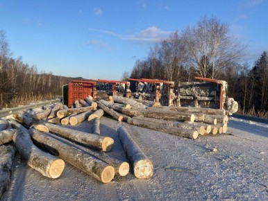 Водитель лесовоза погиб в ДТП в районе имени Лазо