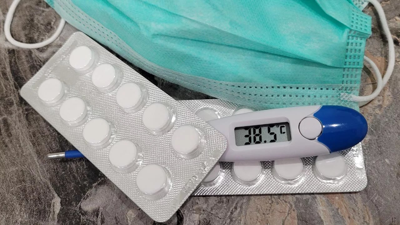 Гонконгский грипп испортит хабаровчанам Новый год