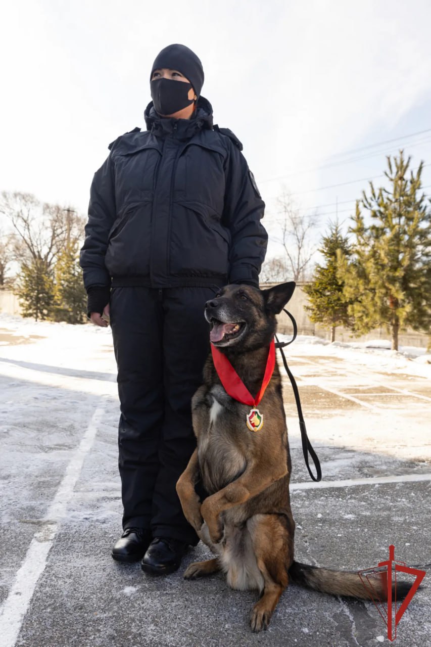 Хабаровские росгвардейцы с почестями проводили на пенсию служебного пса Жека