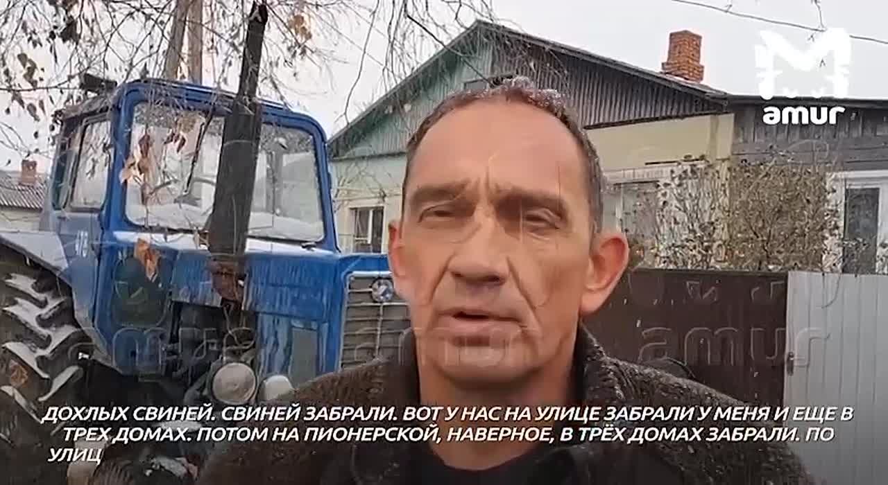 Виновником вспышки африканской чумы в Хабаровском крае назвали фермера, который первым заявил о гибели свиней