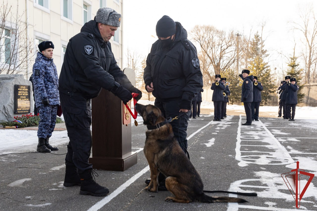 Служебного пса по кличке Жек торжественно проводили на пенсию в Хабаровске Служебного пса по кличке Жек торжественно проводили на пенсию в Хабаровске