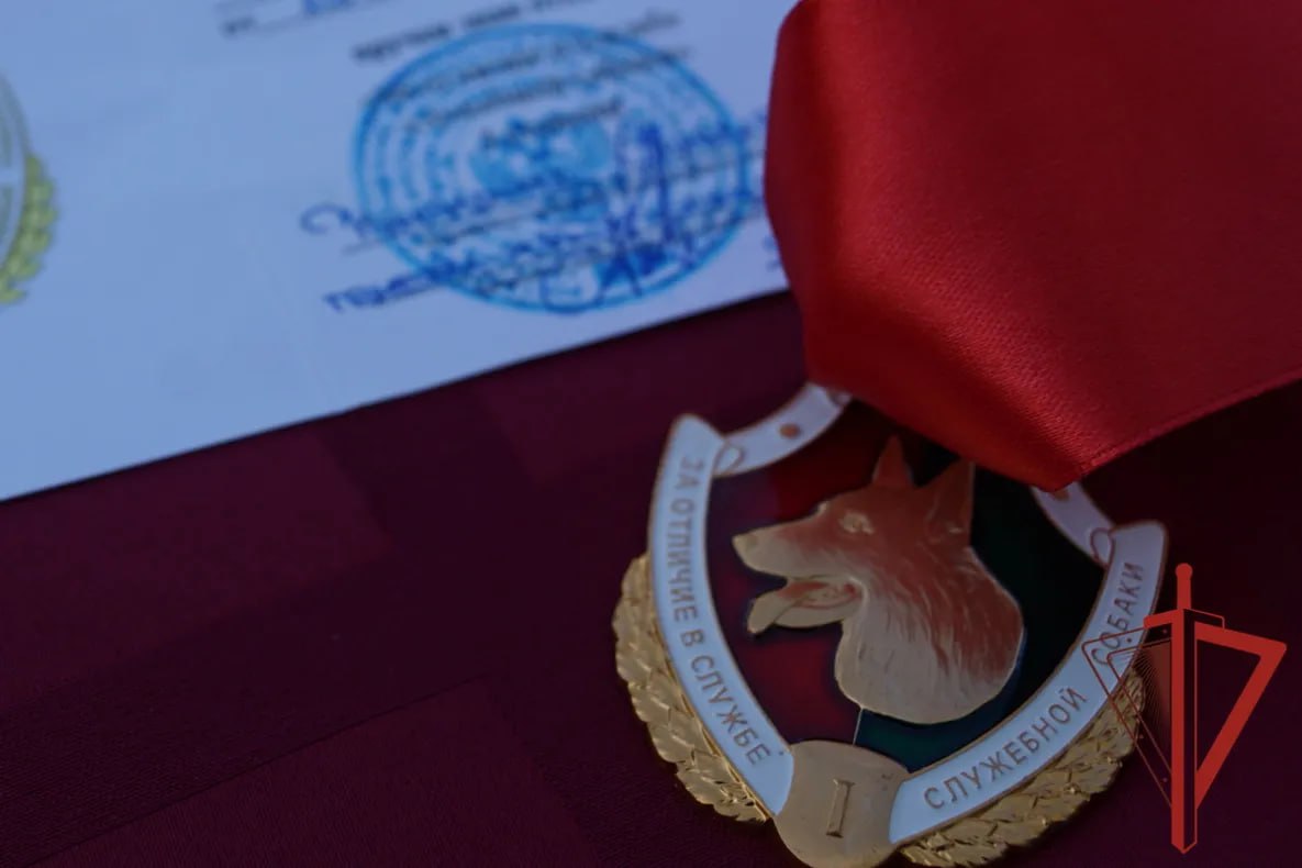 Хабаровские росгвардейцы с почестями проводили на пенсию служебного пса Жека Хабаровские росгвардейцы с почестями проводили на пенсию служебного пса Жека