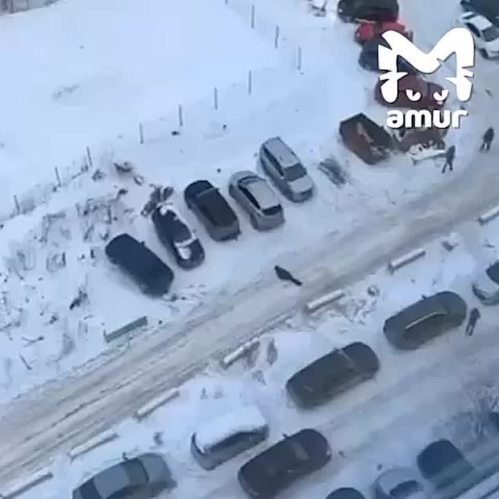 Эконом-вариант лежачего полицейского из Хабаровска