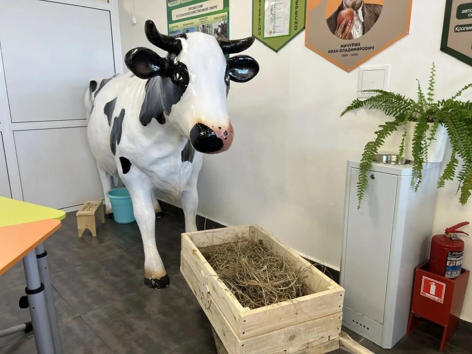 В крае появился первый агрокласс, оборудованный по нацпроекту В крае появился первый агрокласс, оборудованный по нацпроекту