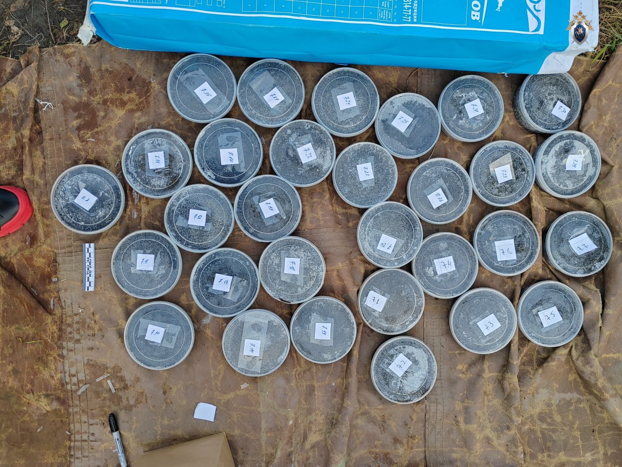 В Хабаровске вынесен приговор организатору незаконного оборота икры осетровых рыб, занесённых в Красную книгу