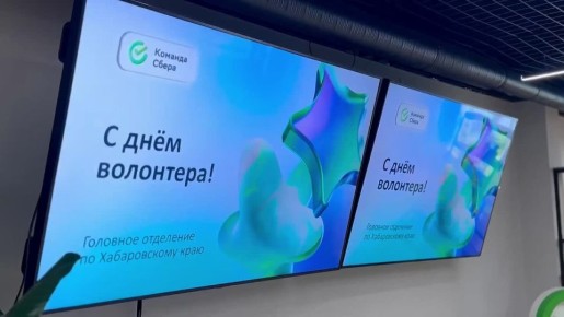 Мэр Хабаровска наградил волонтеров ПАО Сбербанк за их работу на благо краевой столицы