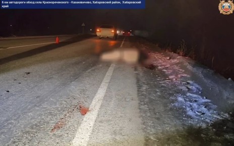 Пешеход погиб сегодня вечером в Хабаровском районе