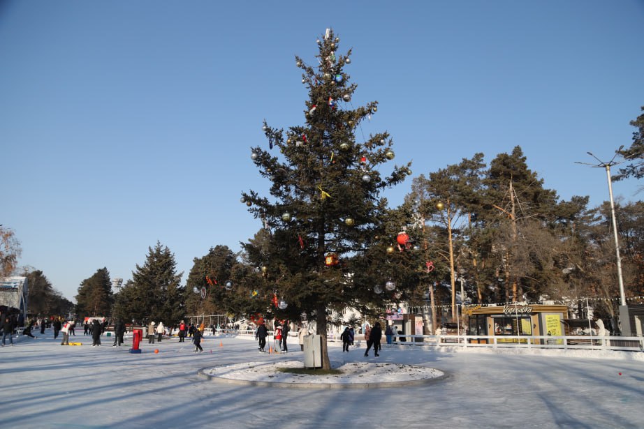 Самый большой на Дальнем Востоке каток открылся на набережной Хабаровска Самый большой на Дальнем Востоке каток открылся на набережной Хабаровска