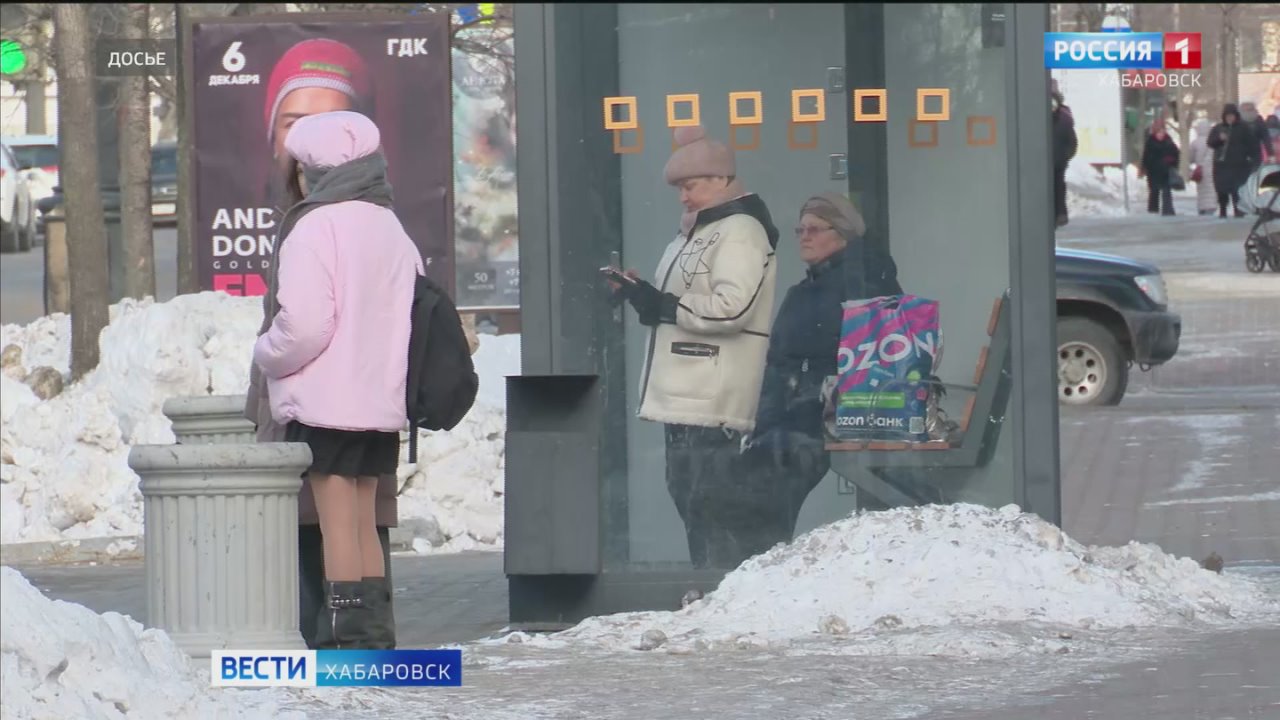 Более трёх тысяч жителей Хабаровского края стали жертвами интернет-преступников с начала года