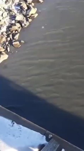 Разлив нефтепродуктов произошел в районе поселка Токи Ванинского района