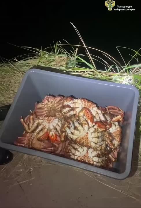 В Советской Гавани в суд направлено уголовное дело о незаконной добыче водных биологических ресурсов
