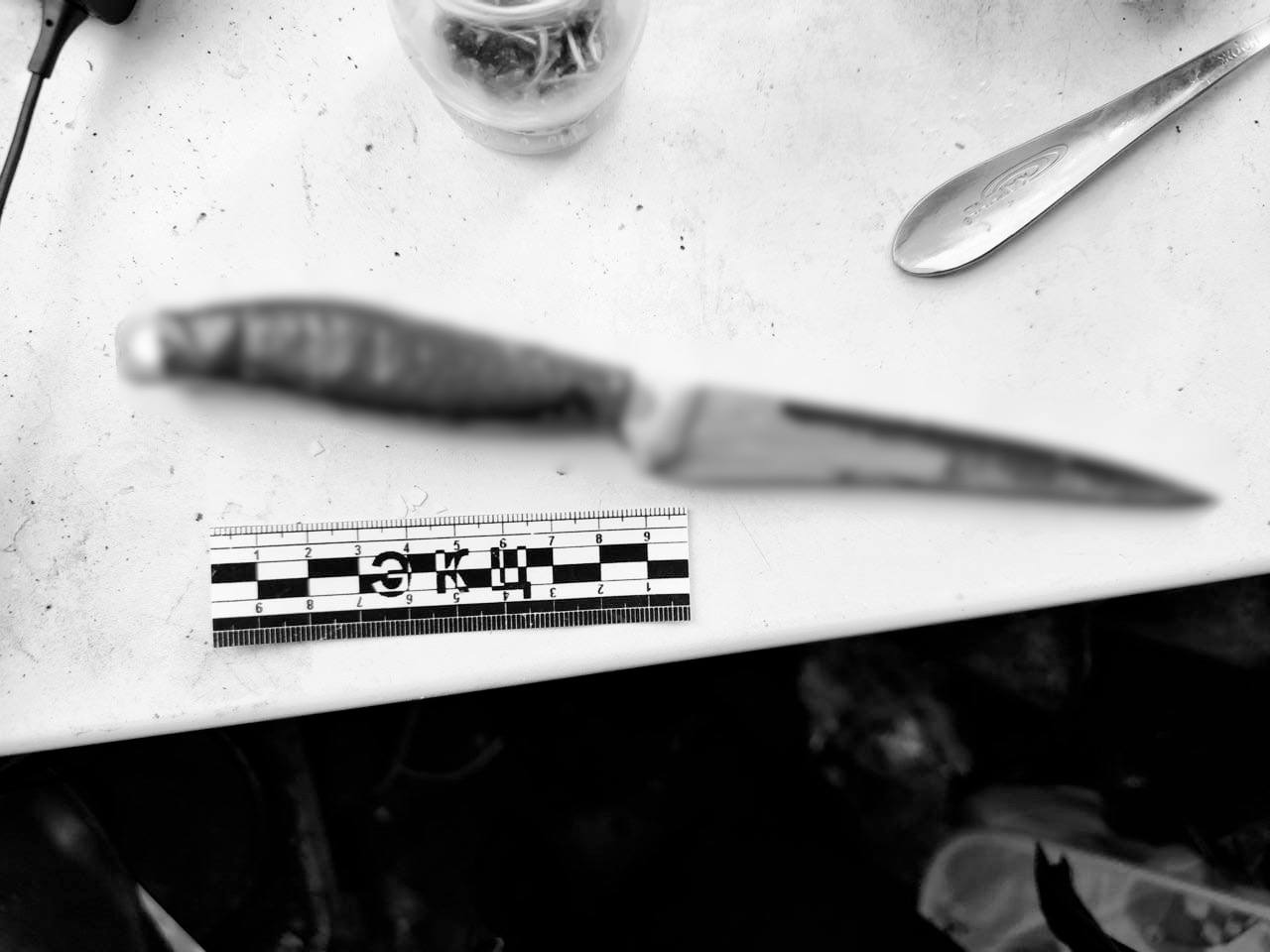 В Хабаровском районе перед судом предстанет женщина за убийство своего знакомого В Хабаровском районе перед судом предстанет женщина за убийство своего знакомого