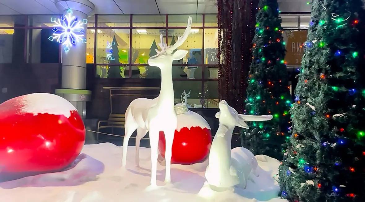 В Хабаровске активно создают новогоднюю атмосферу! В Хабаровске активно создают новогоднюю атмосферу!