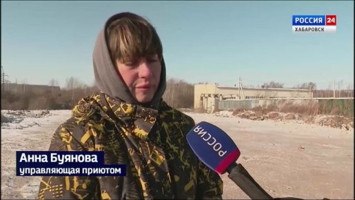 � ��������� ���� � ���������� ��������� �������� ����� 800 ��������� ����������� � ������� �����