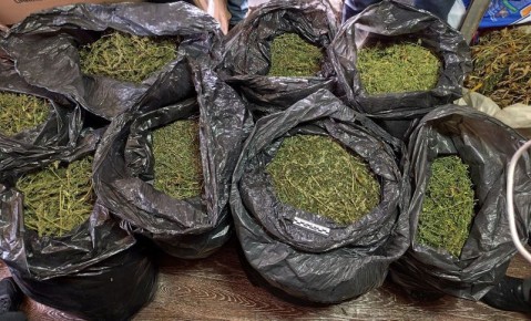 � ����������� ������ ����������� ������ �� ������������������ � �������� ������ ����� 35 ����������� ���������, ������ � ����������