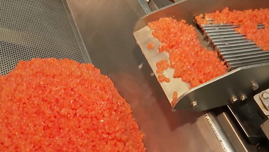 Дональд Трамп попробует красную икру из Хабаровского края Дональд Трамп попробует красную икру из Хабаровского края