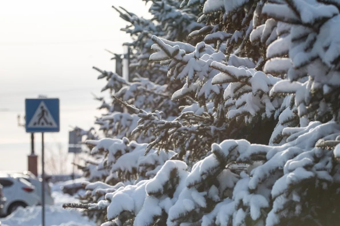 Аномальные морозы обещает Хабаровскому краю главный синоптик России