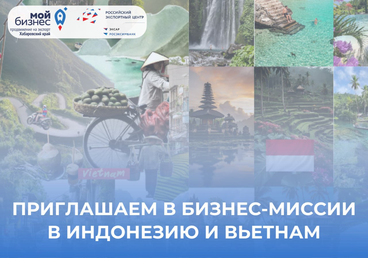 Предпринимателей Хабаровского края приглашают принять участие в бизнес-миссиях в Индонезию и Вьетнам