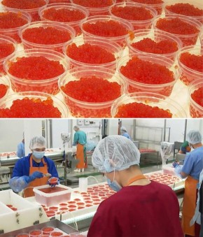 Трампу подарили ящик красной икры из Хабаровского края