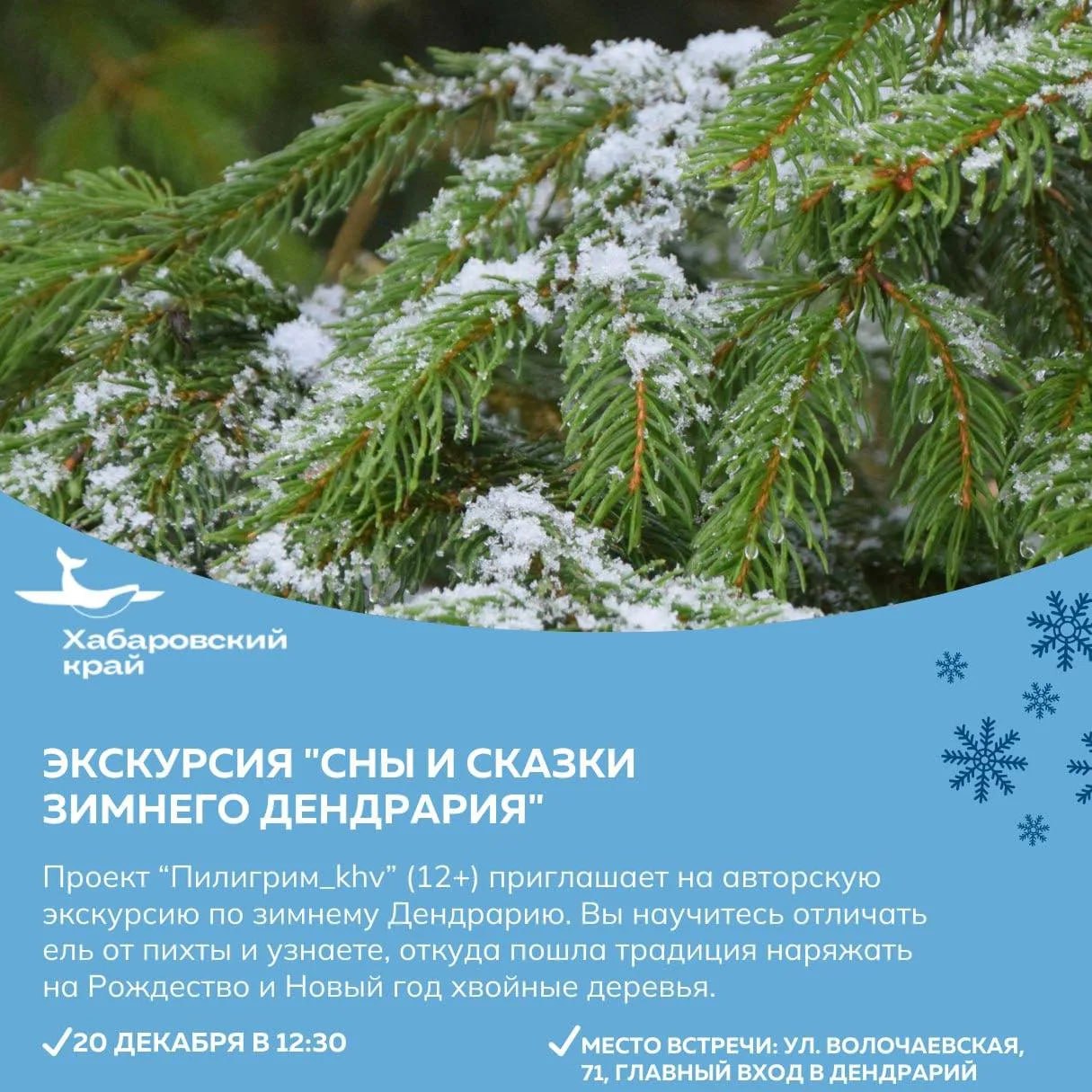 Посетить Рождественский фестиваль или посмотреть новогоднее конное шоу предлагают жителям и гостям региона Посетить Рождественский фестиваль или посмотреть новогоднее конное шоу предлагают жителям и гостям региона