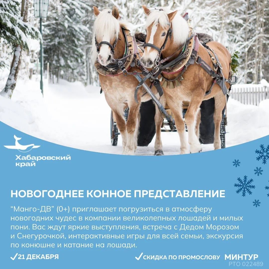 Посетить Рождественский фестиваль или посмотреть новогоднее конное шоу предлагают жителям и гостям региона Посетить Рождественский фестиваль или посмотреть новогоднее конное шоу предлагают жителям и гостям региона