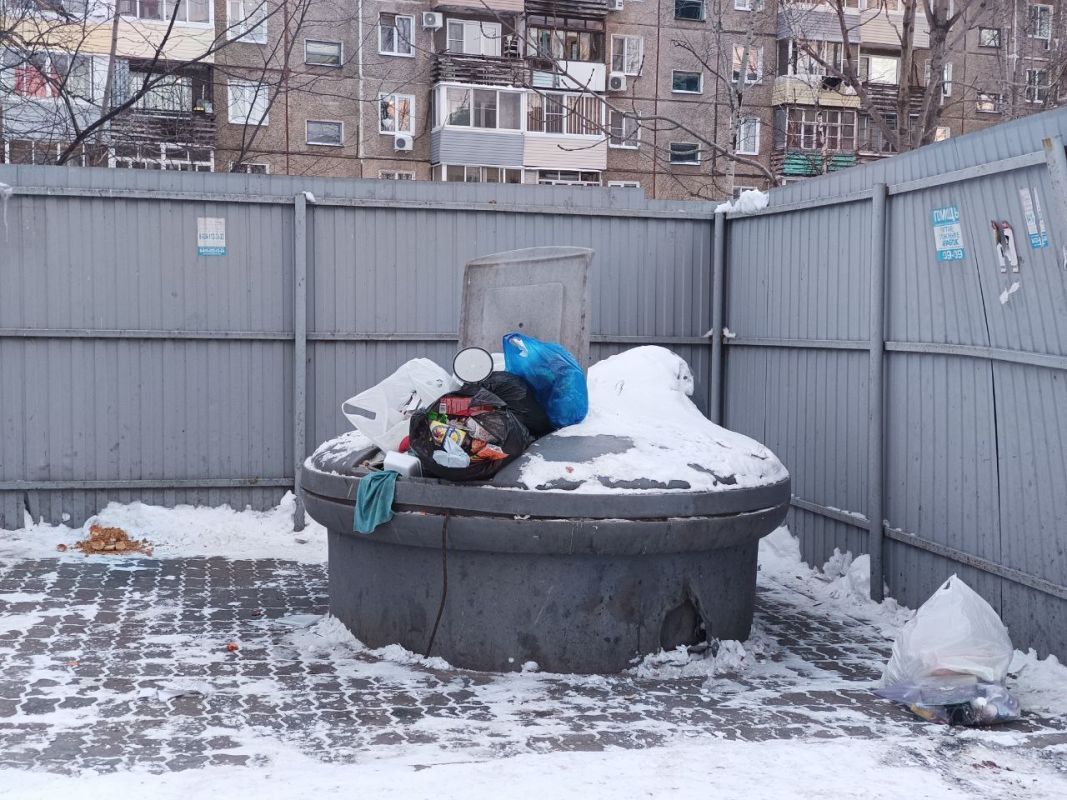 Цифровой контроль: нейросети начали следить за вывозом мусора в Хабаровском крае