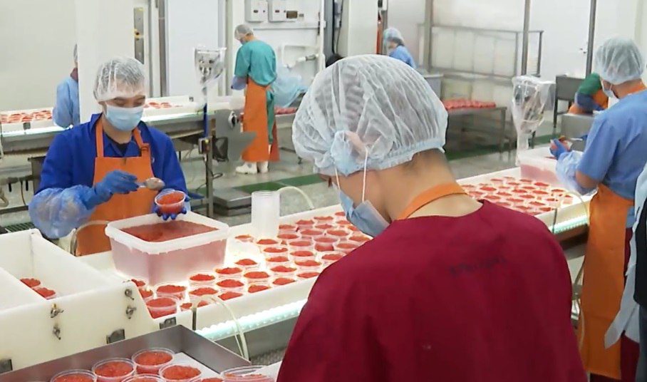 Дональд Трамп попробует красную икру из Хабаровского края Дональд Трамп попробует красную икру из Хабаровского края