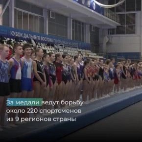 Кубок Дальнего Востока по прыжкам на батуте стартовал в Хабаровске