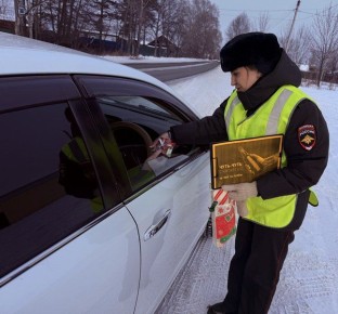 На страже безопасности: как Госавтоинспекция учит детей и взрослых Правилам дорожного движения
