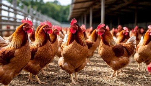 ������������ ������� �������� � ��� ������������ �� 13 ���� ������