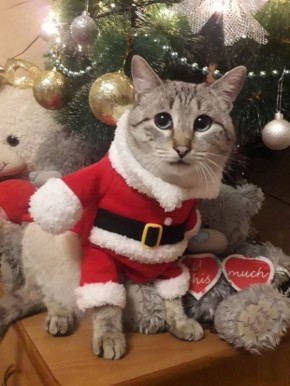 ���������� �����? ��� ����������� ��������� ����� ��� ����������� �������� �������