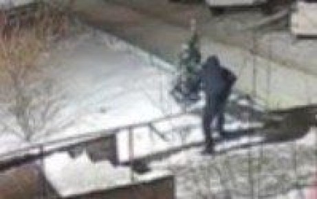 ����������� �������� ��������� ���� � ����������