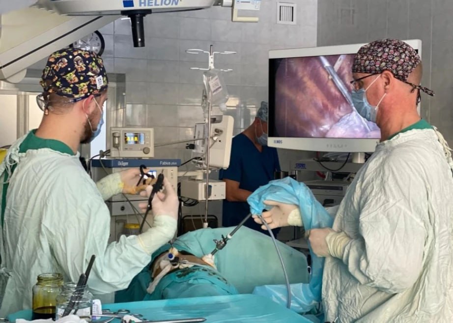 В министерстве здравоохранения Хабаровского края подвели итоги реализации нацпроектов в 2025 году В министерстве здравоохранения Хабаровского края подвели итоги реализации нацпроектов в 2025 году