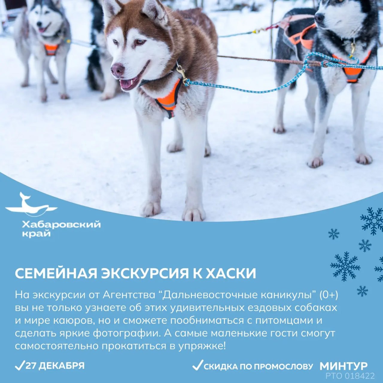 Отправиться в поход или прокатиться на собачьей упряжке приглашают жителей и гостей края в предновогодние выходные Отправиться в поход или прокатиться на собачьей упряжке приглашают жителей и гостей края в предновогодние выходные