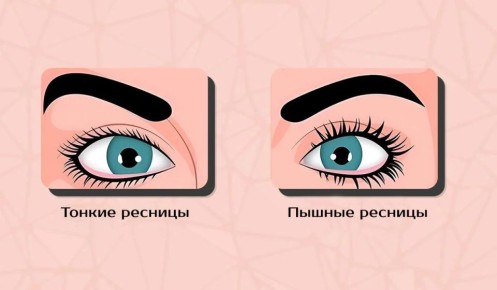 Как форма ваших ресниц может раскрыть тайны вашей личности