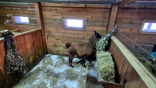 ���� ���� ���������� � ������� ������������