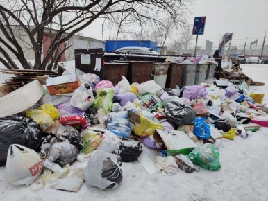 Проблему с вывозом мусора на ДОСах решил регоператор с управляющей компанией в Хабаровске