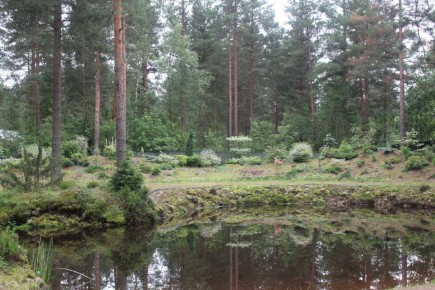 Искусственный интеллект: надежный помощник или источник заблуждений в садоводстве?