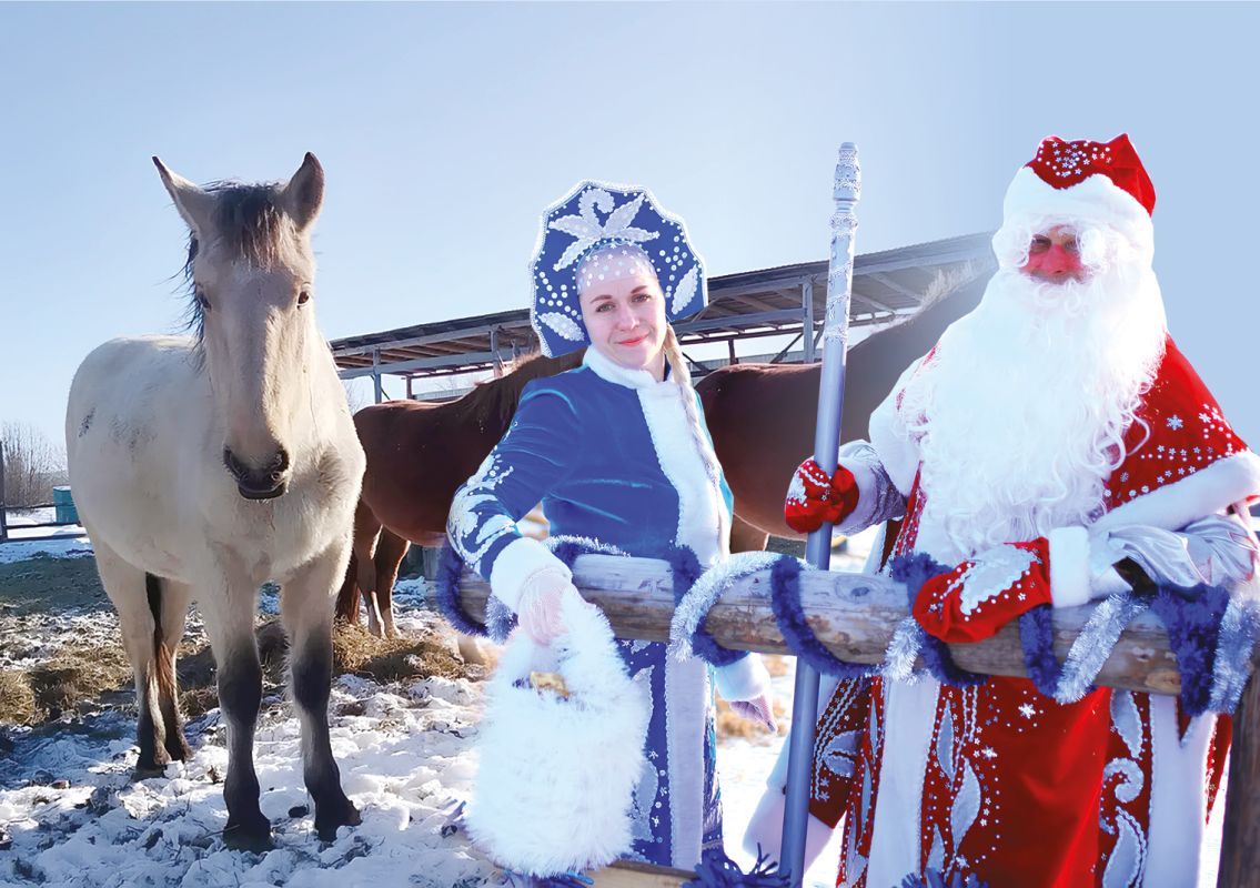 Гоша, Сваха и Альтаир: лошади хабаровской семьи Куркиных