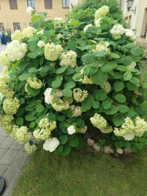 Как прожить счастливо на пенсии: 5 секретов активной жизни